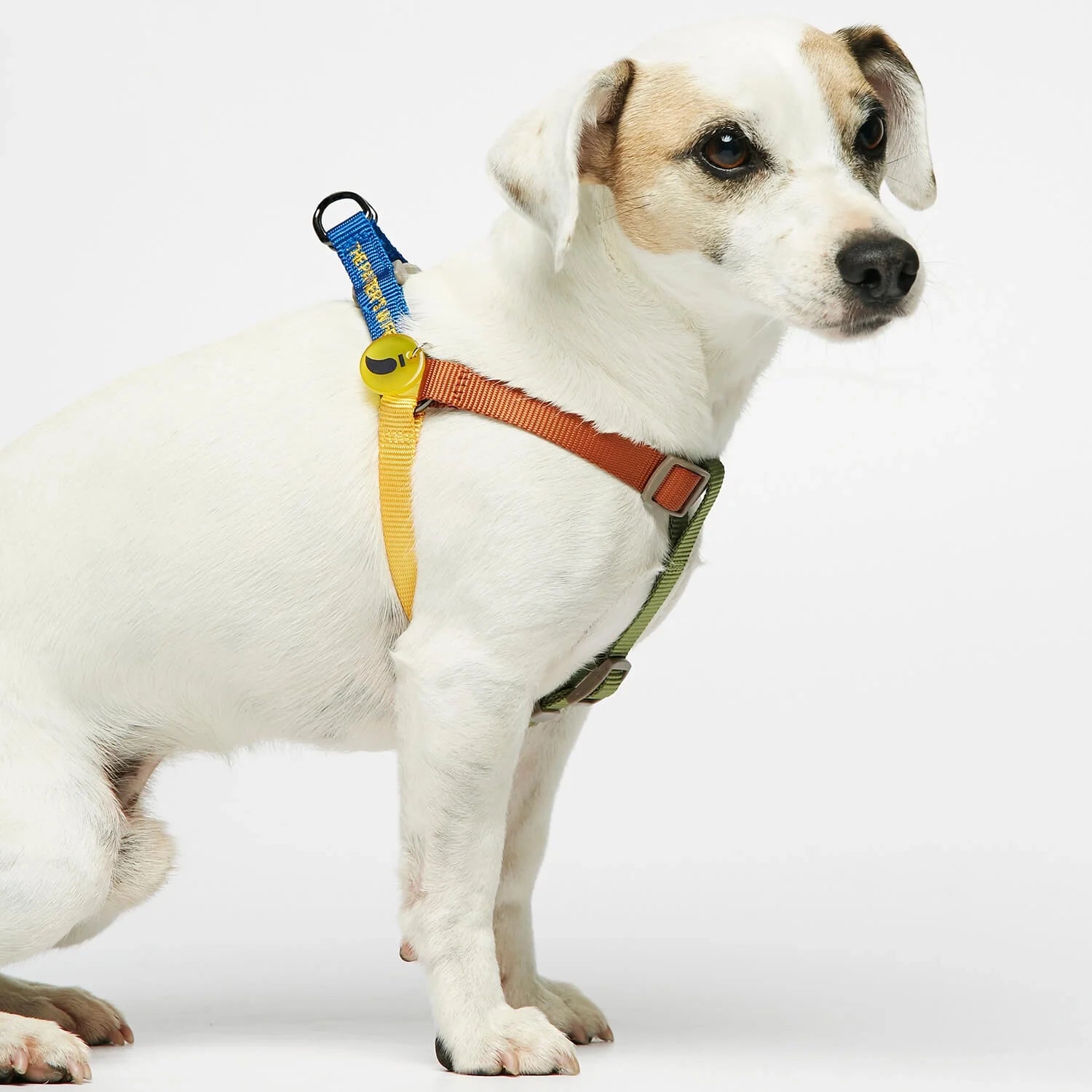 Sonia - カジュアルハーネス