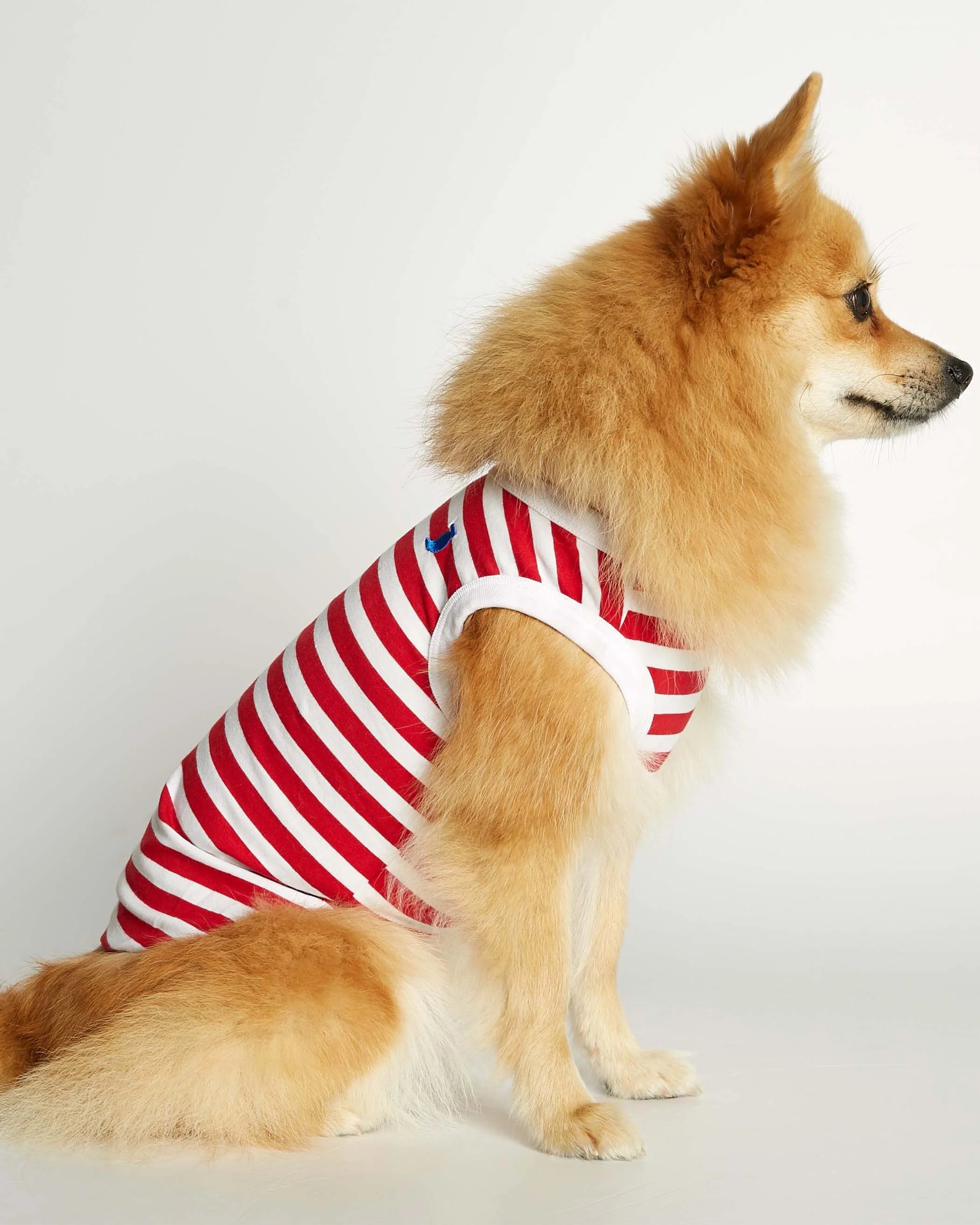 Daniel - オーガニックコットンノースリーブTシャツ