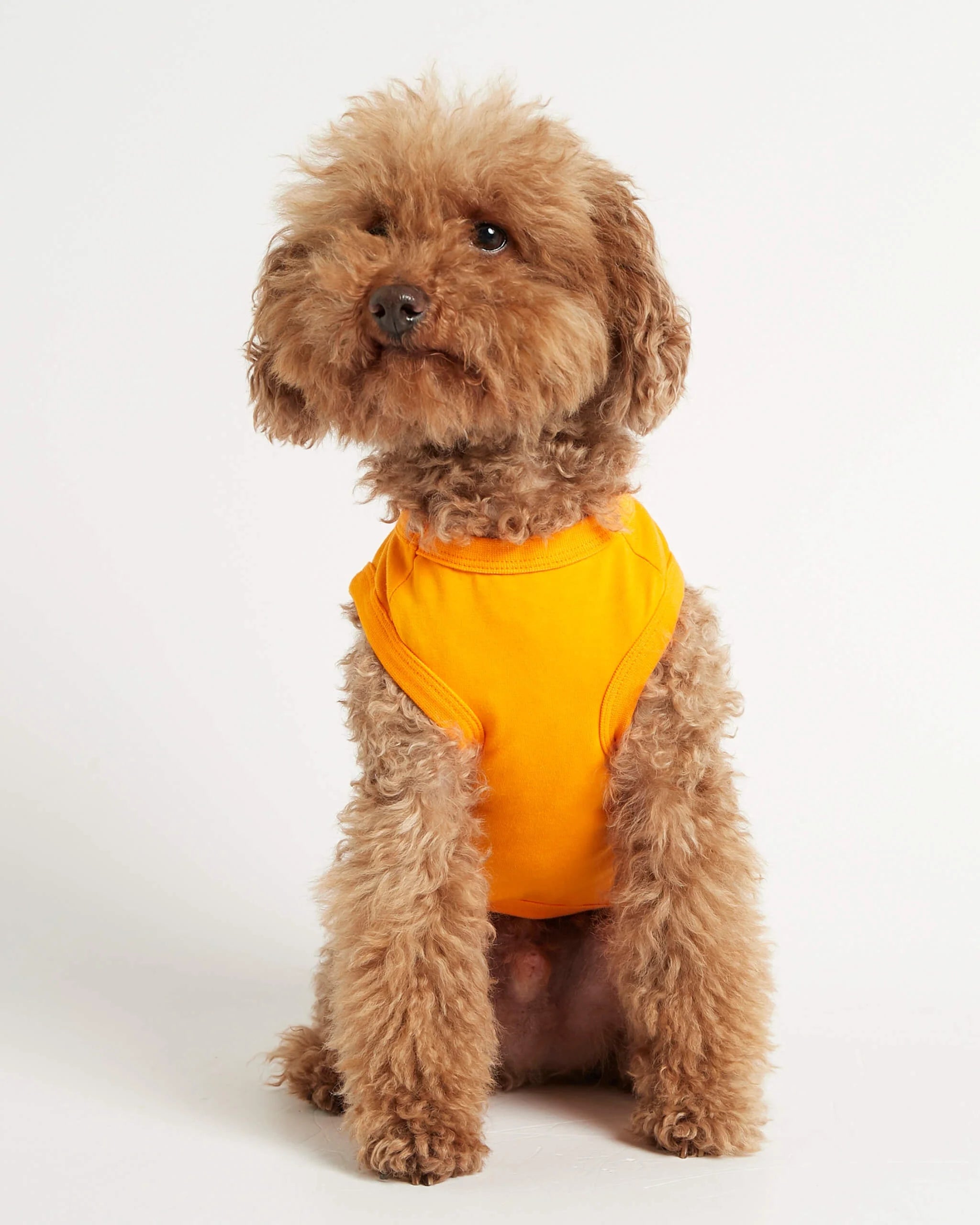 Imi - オーガニックコットンノースリーブTシャツ