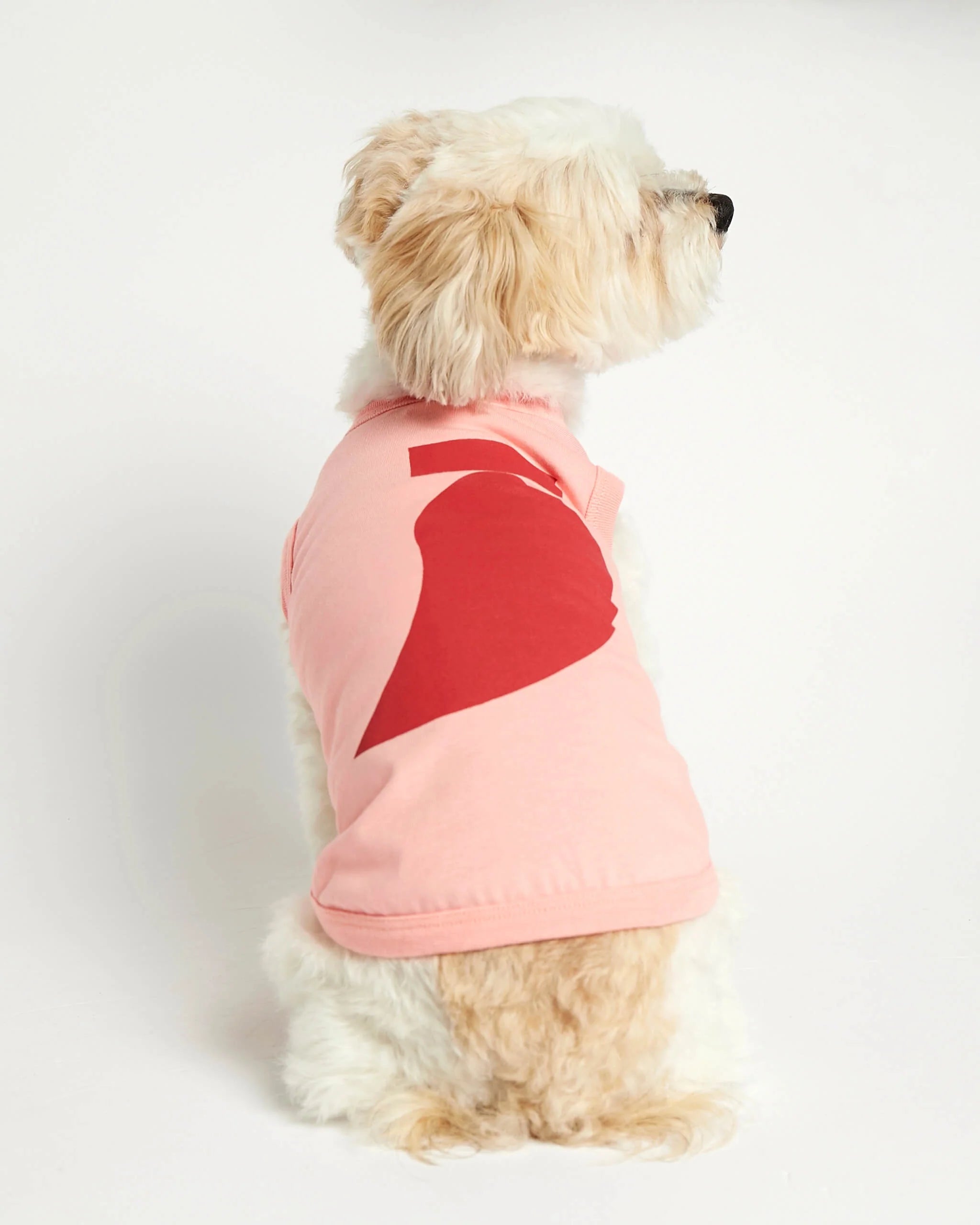 Imi - オーガニックコットンノースリーブTシャツ