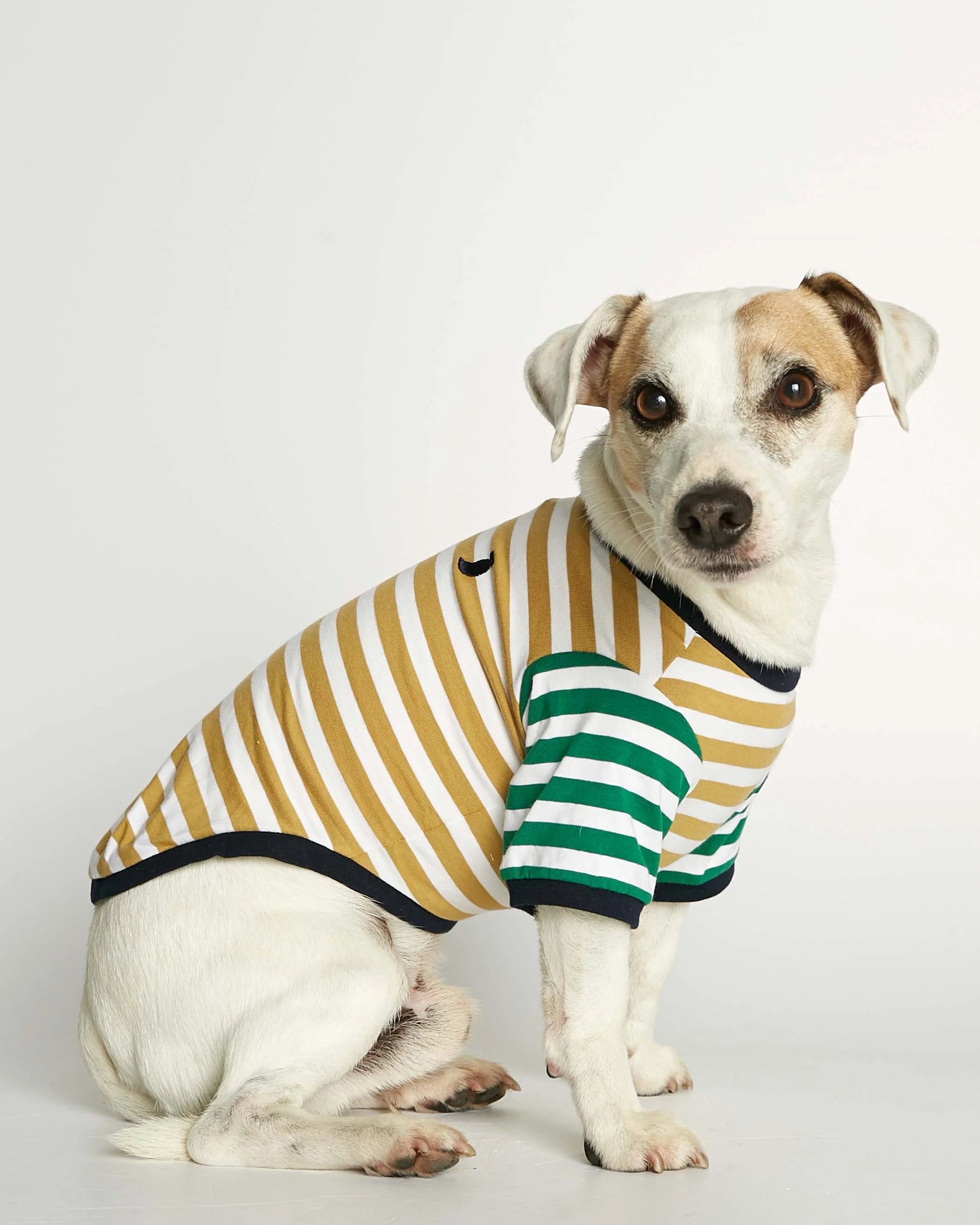 David - オーガニックコットンTシャツ