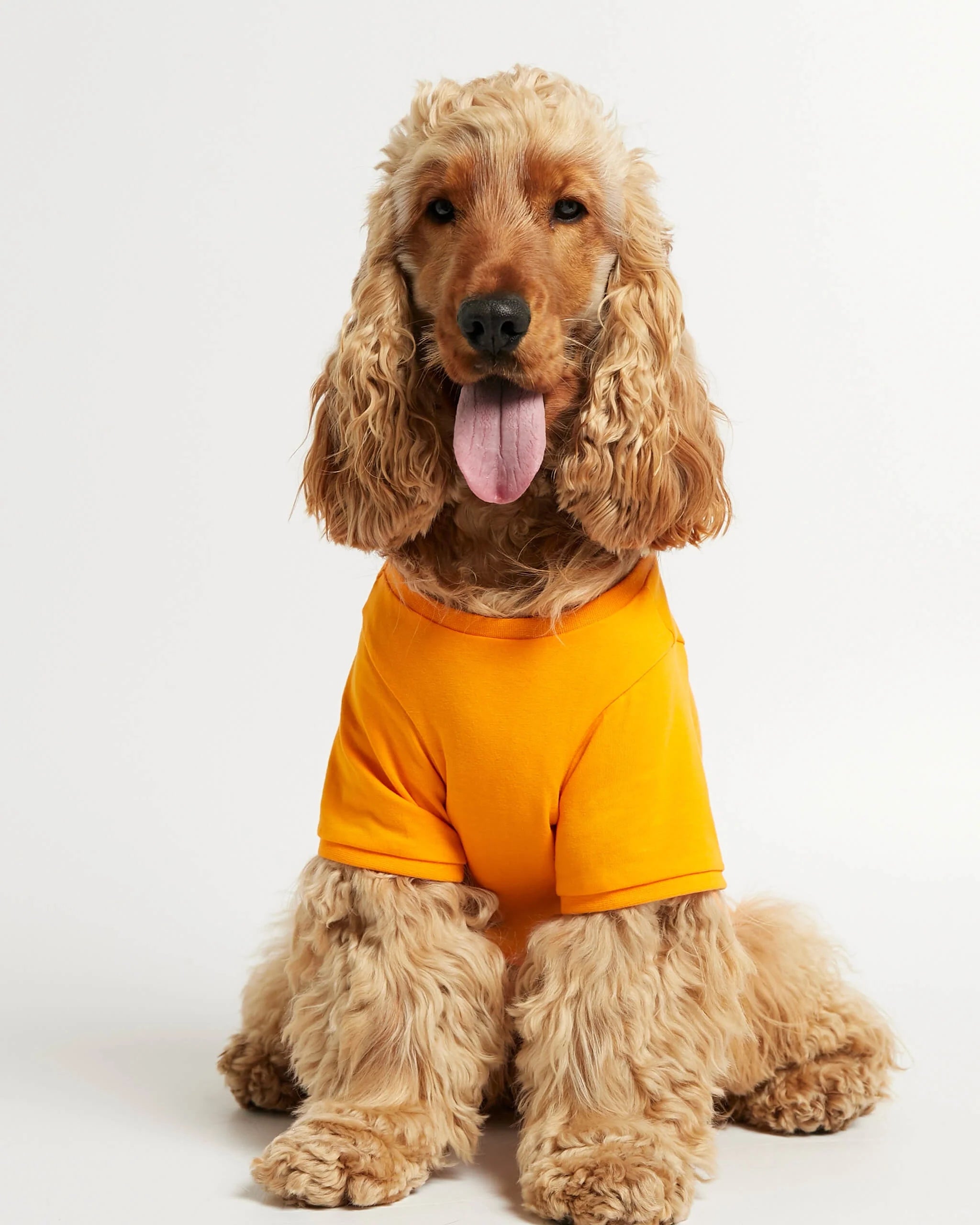 Imi - オーガニックコットンTシャツ