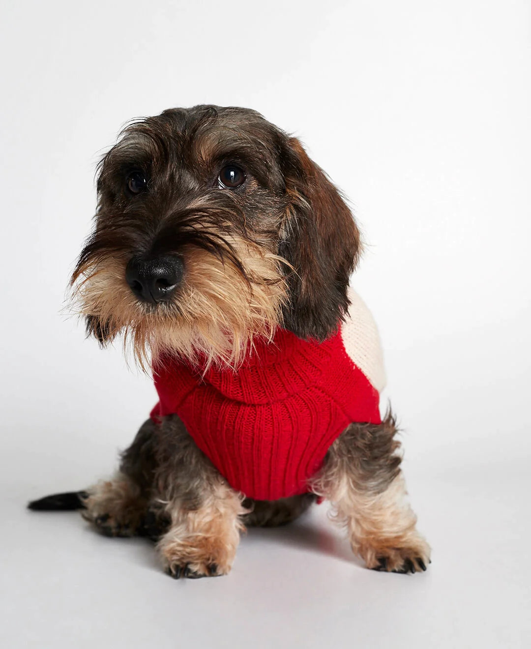 René - メリノウールセーター