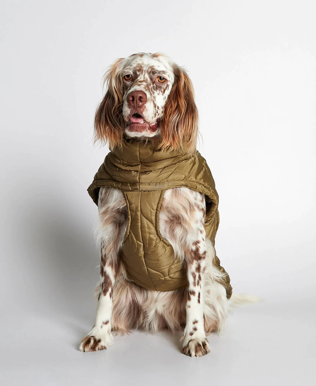 Al Puffer - ダウンベスト