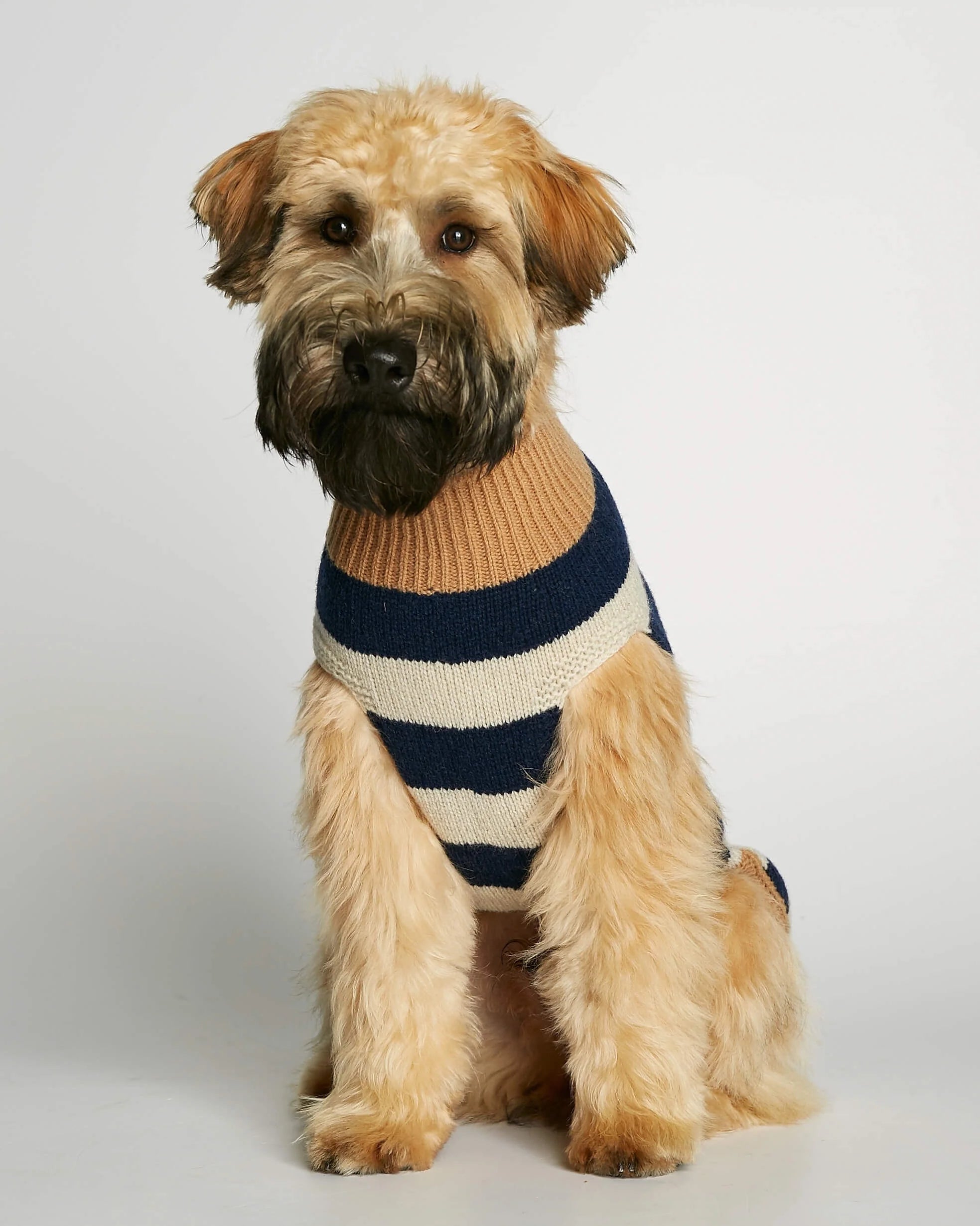 Anni - カシミアセーター