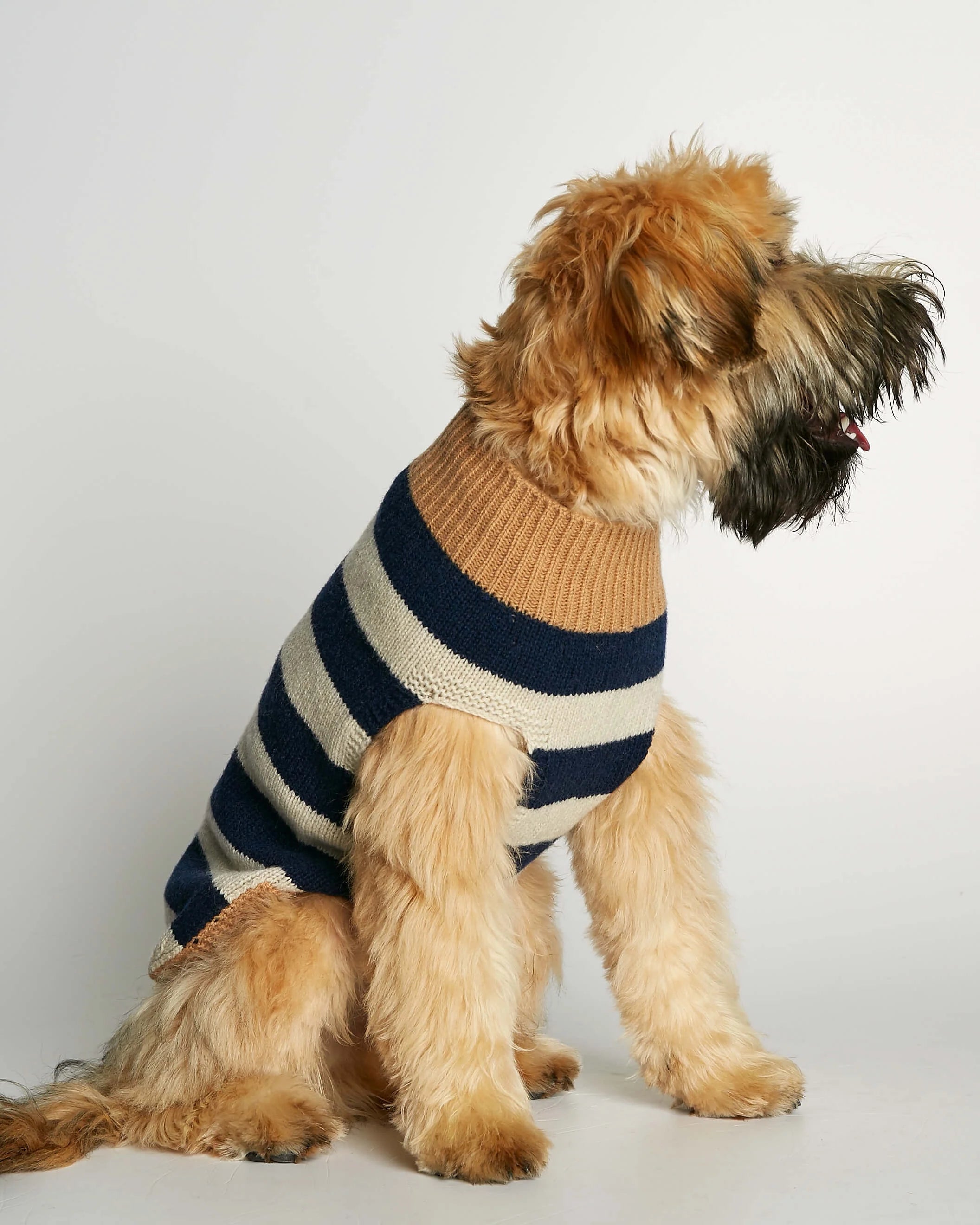 Anni - カシミアセーター