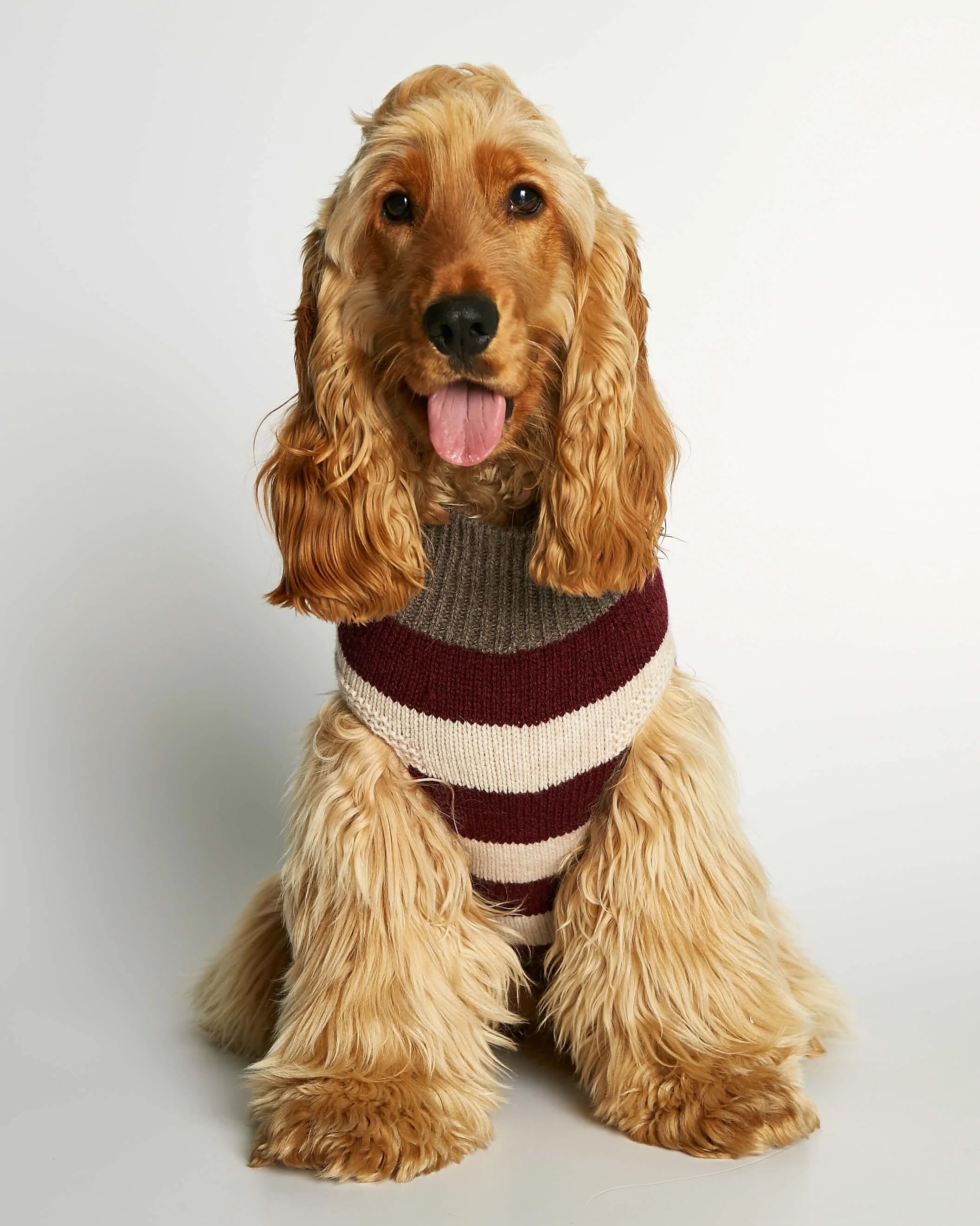 Anni - カシミアセーター