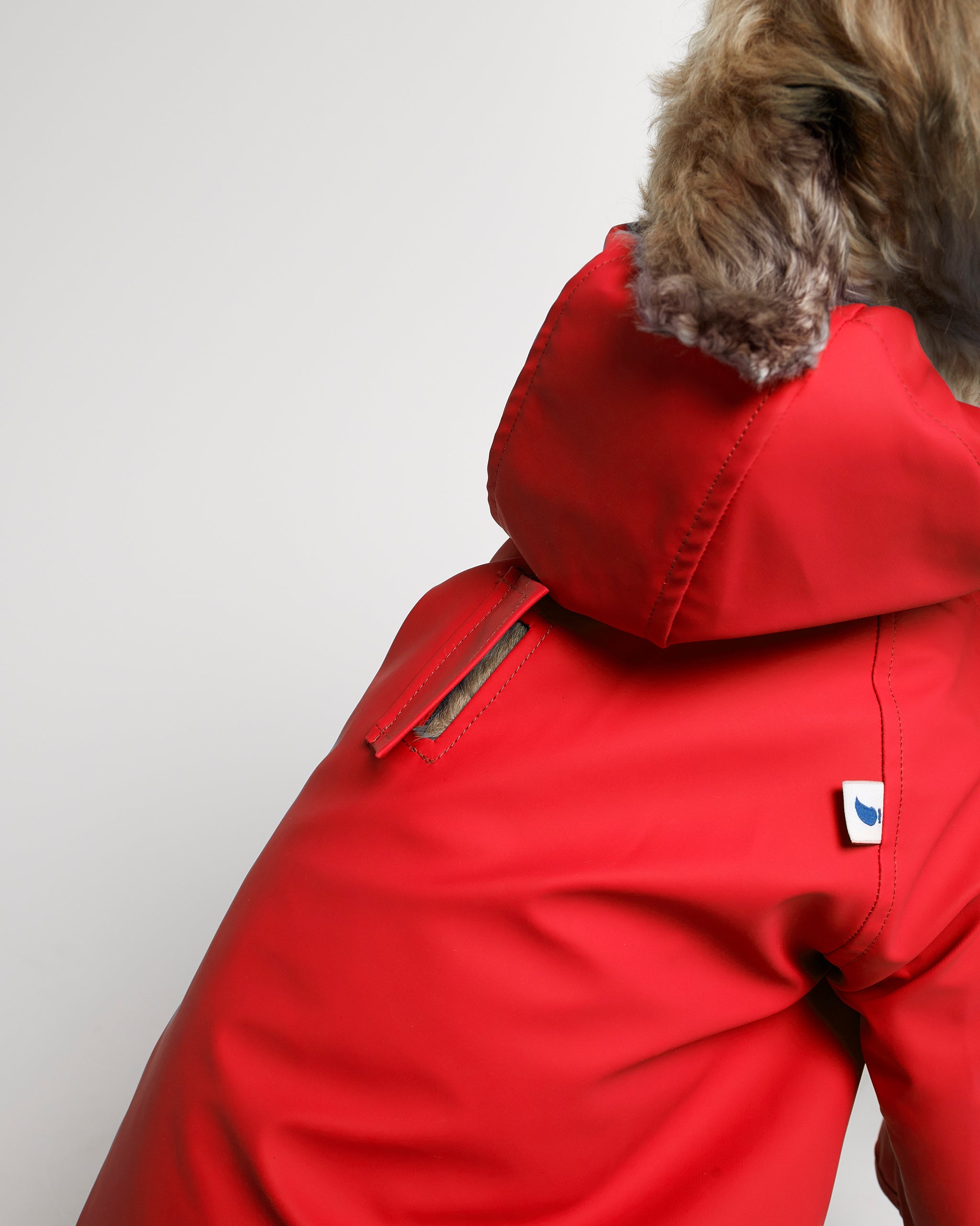 Sarah - ガリシアンレインコート