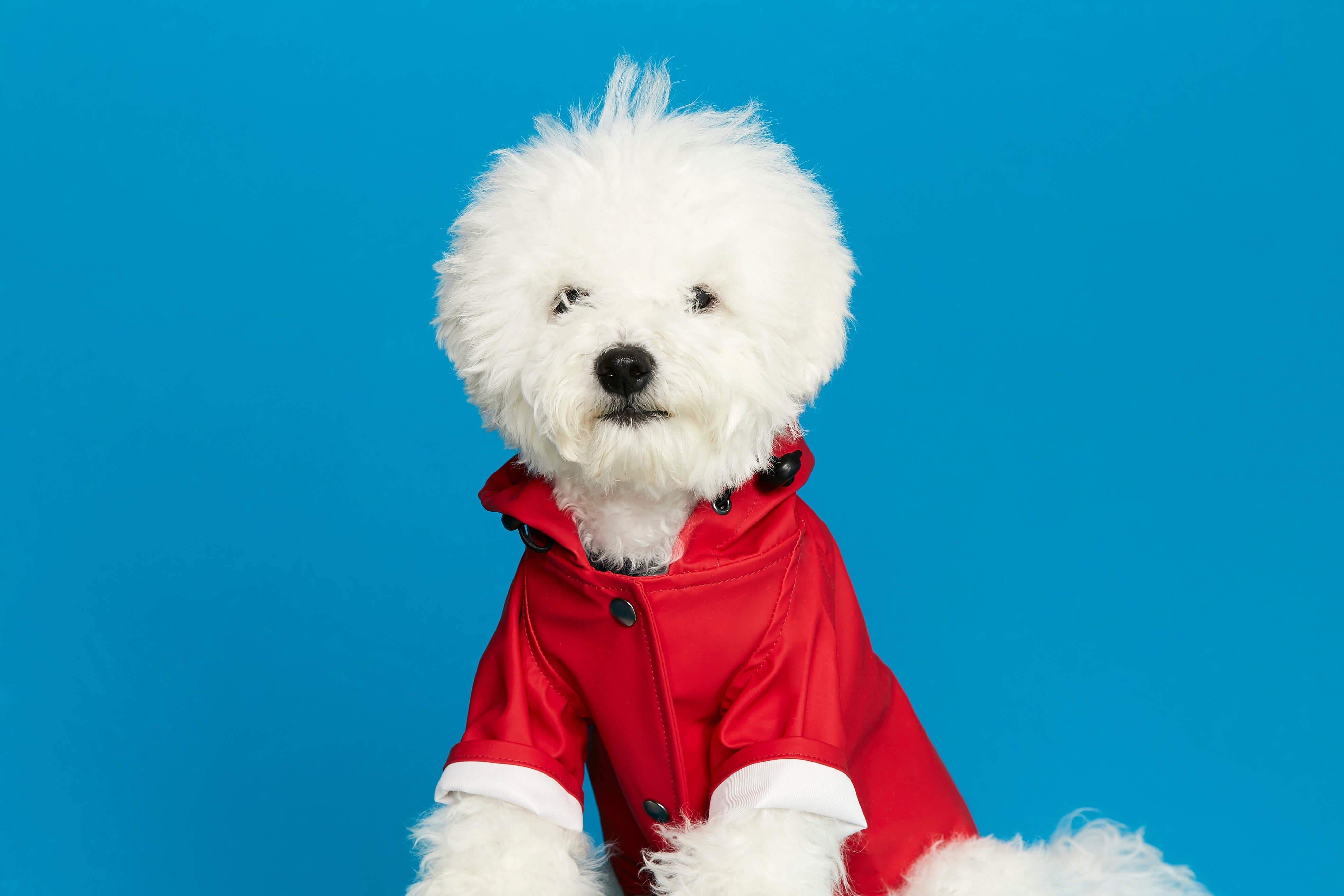 Sarah - ガリシアンレインコート