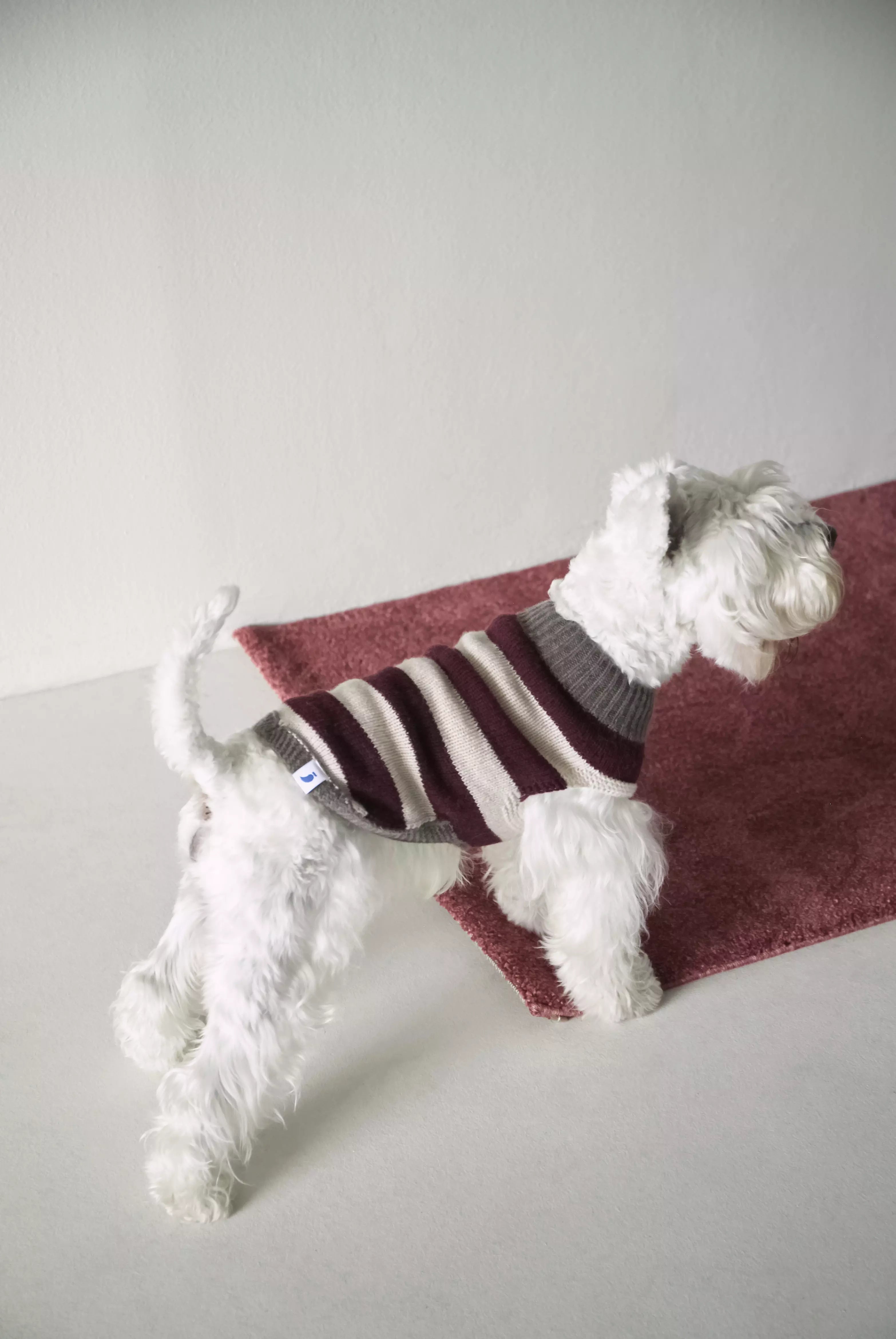 Anni - カシミアセーター