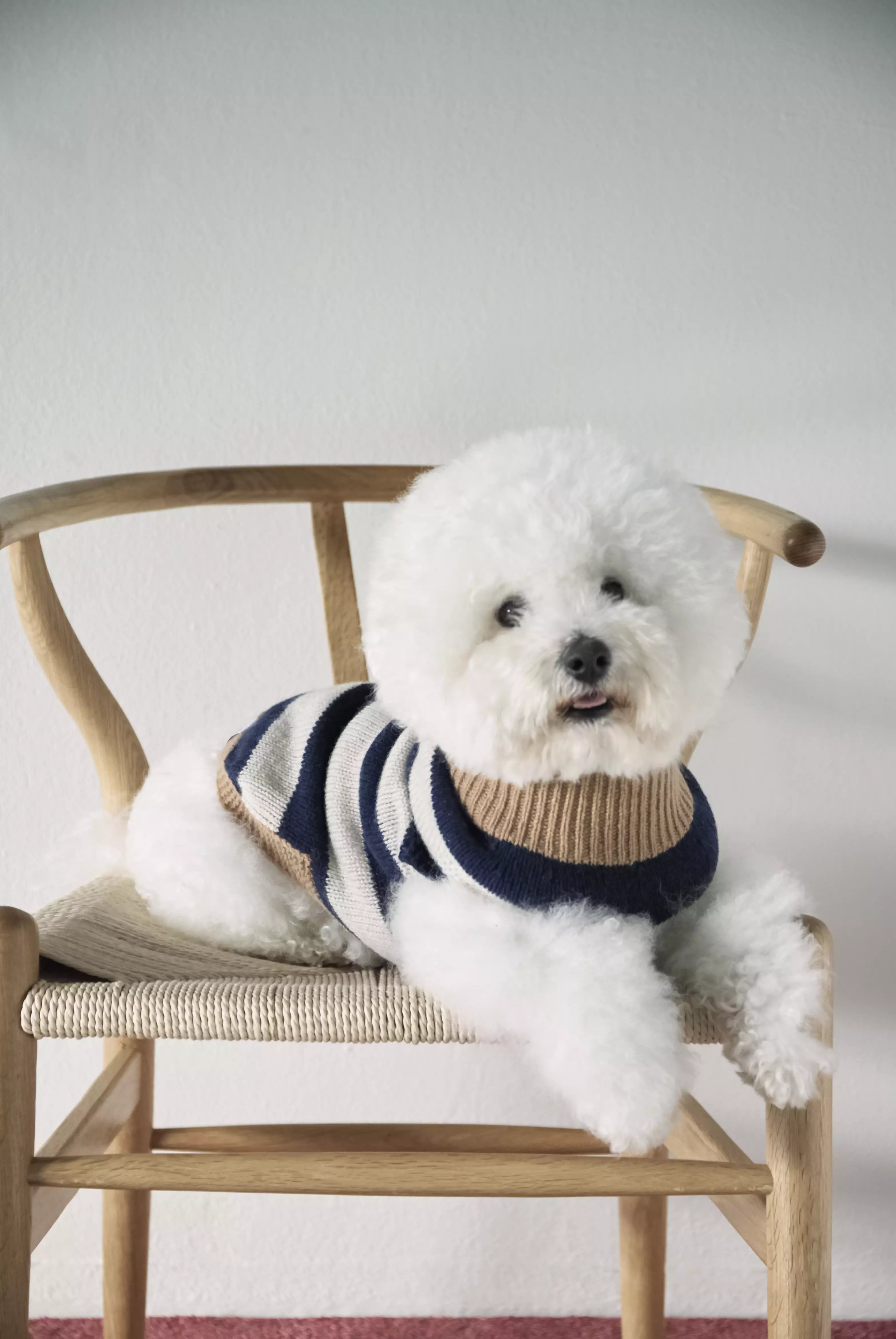 Anni - カシミアセーター