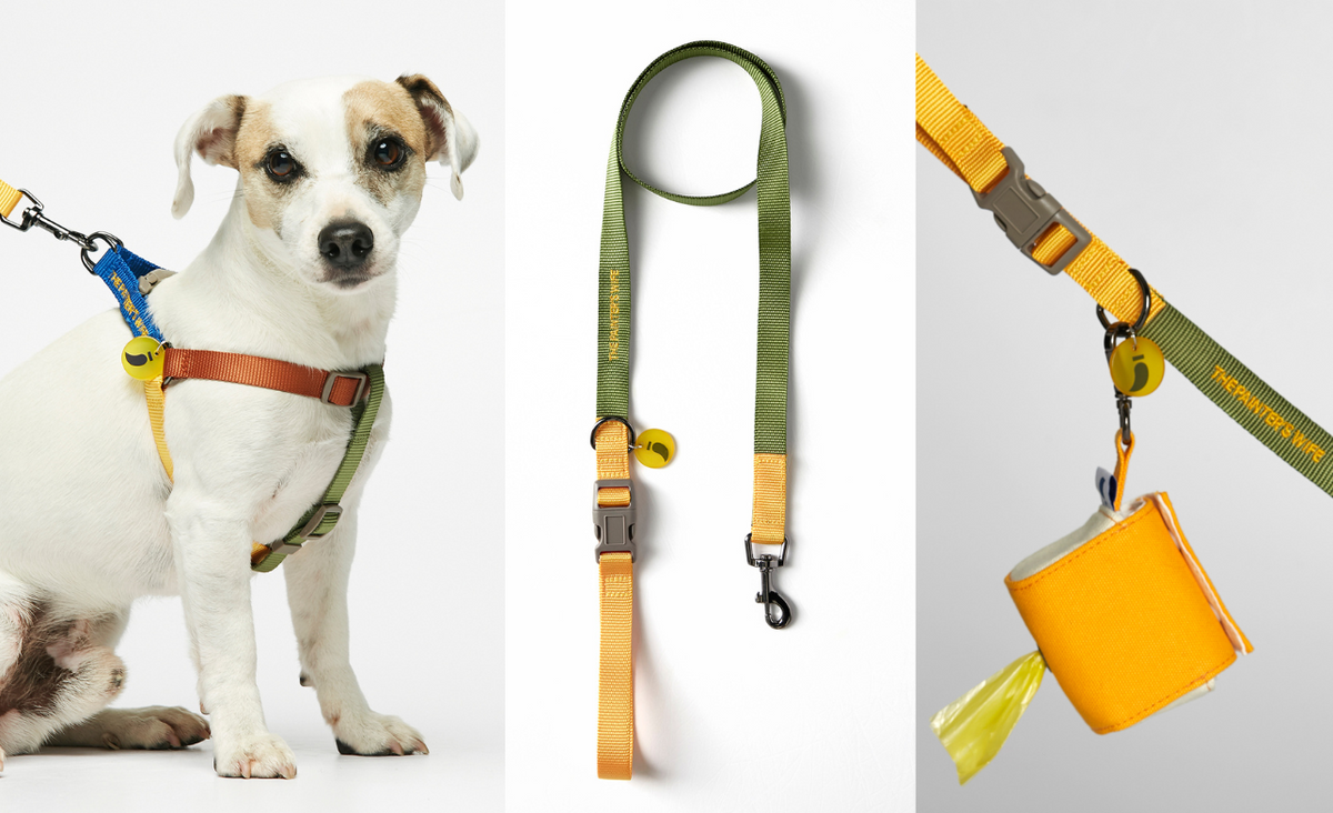 Walk Kit